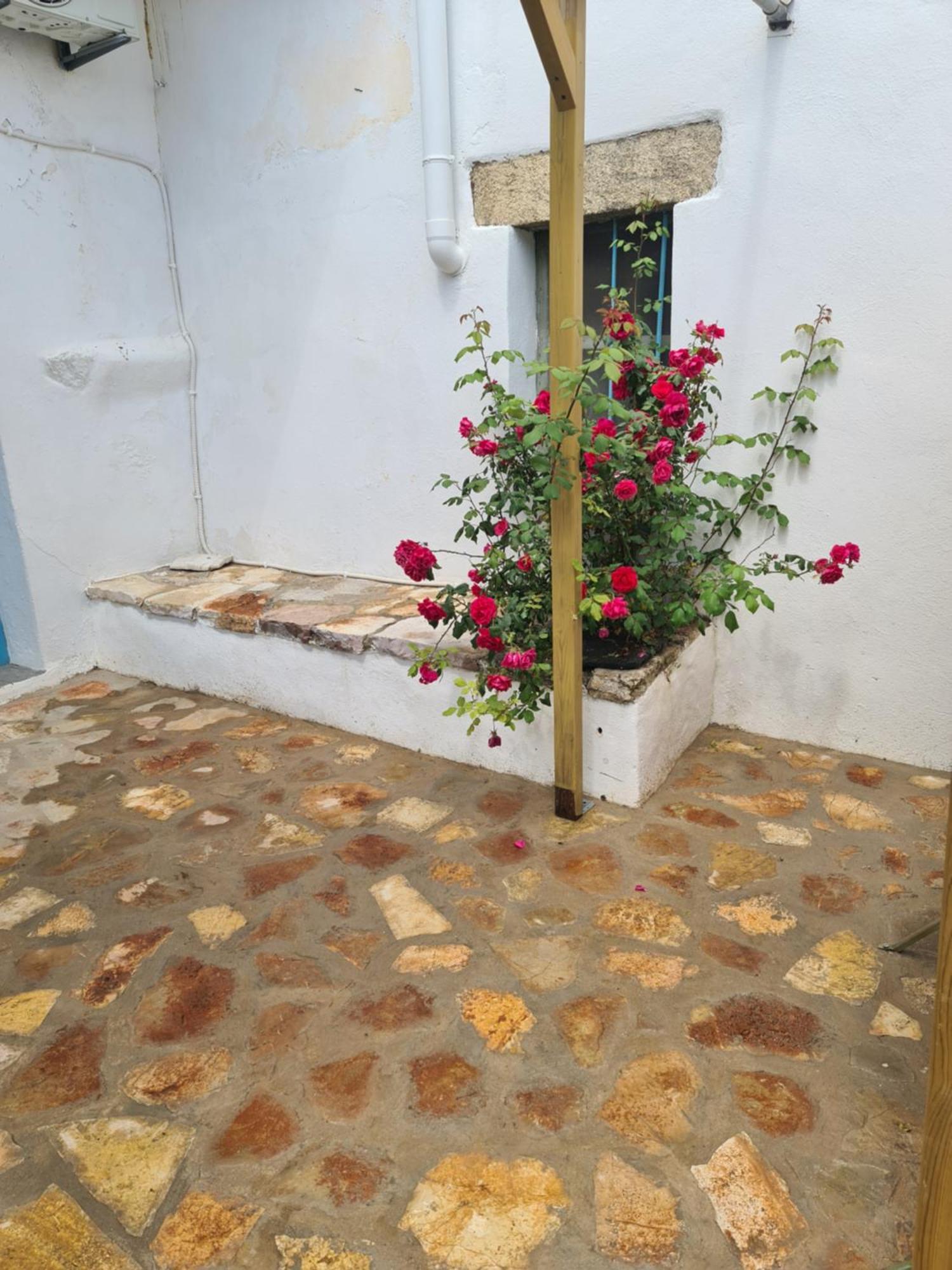 Kamaraki Grande Aroniadika Apartment Kythira Town Exterior photo